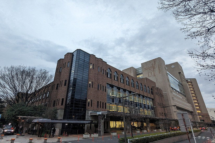 Japanese Hospitals