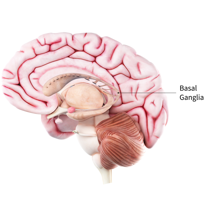 Parkinson’s Disease