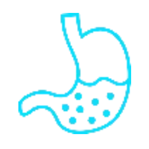 Gastroenterology         　　(Stomach,Intestines)
