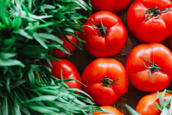 Baked Tilapia with Tomatoes--A Heart-Healthy Recipe from NHLBI